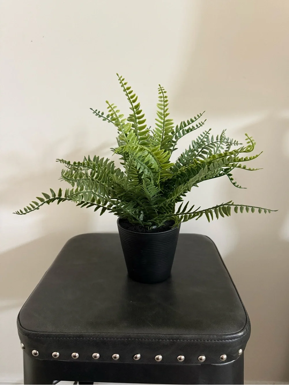 Small Artificial Boston Fern in Black Planter - Green Faux Plant